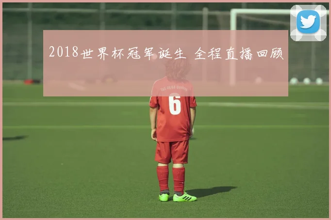 2018世界杯冠军诞生 全程直播回顾