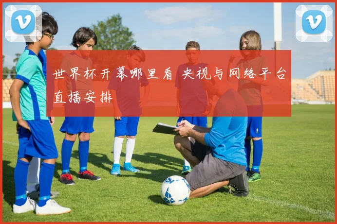 世界杯开幕哪里看 央视与网络平台直播安排