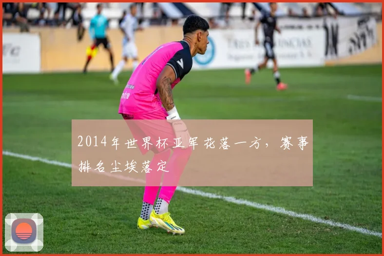 2014年世界杯亚军花落一方，赛事排名尘埃落定