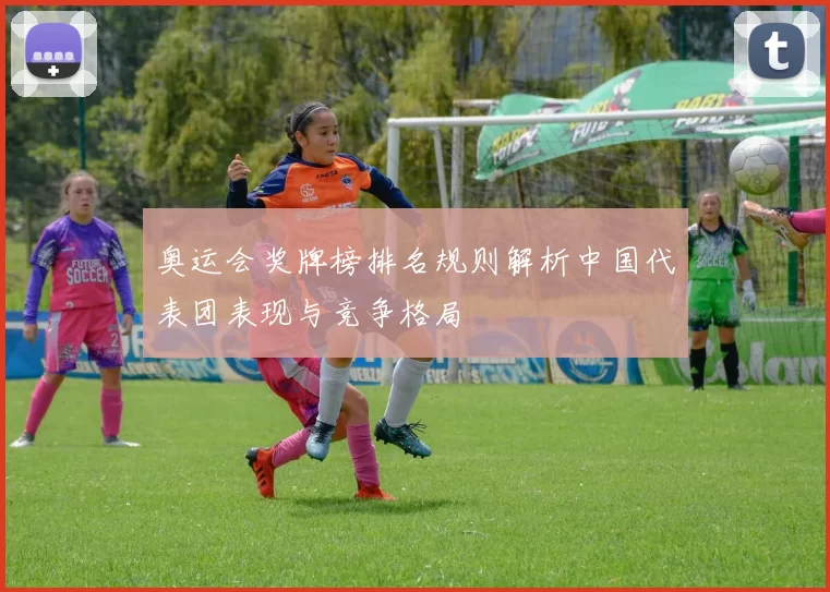 奥运会奖牌榜排名规则解析中国代表团表现与竞争格局