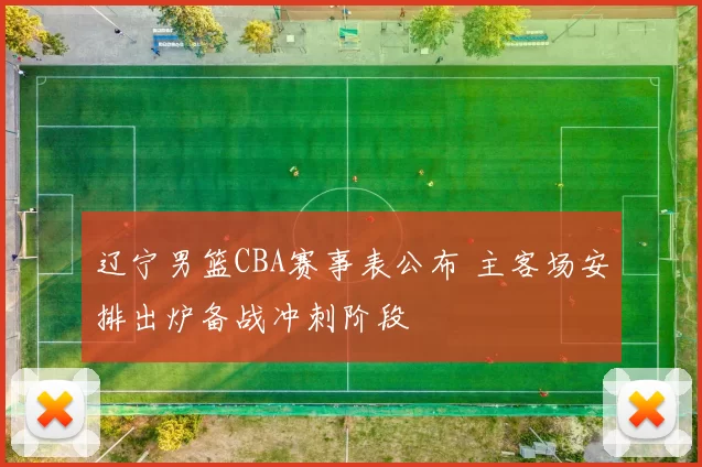 辽宁男篮CBA赛事表公布 主客场安排出炉备战冲刺阶段